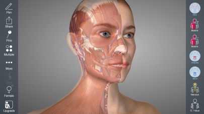 Essential Anatomy 5 App Store screenshot 2