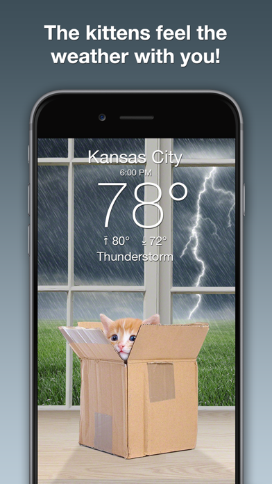 Weather Kitty: Weather + Radar App Store screenshot 2