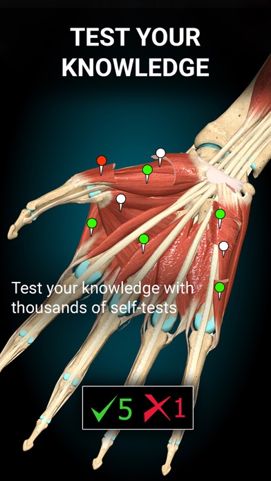 Anatomy Learning - 3D Anatomy App Store screenshot 2