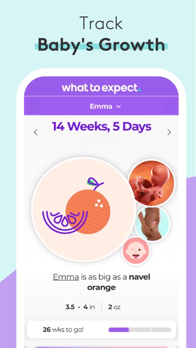 Pregnancy Baby Tracker - WTE App Store screenshot 1