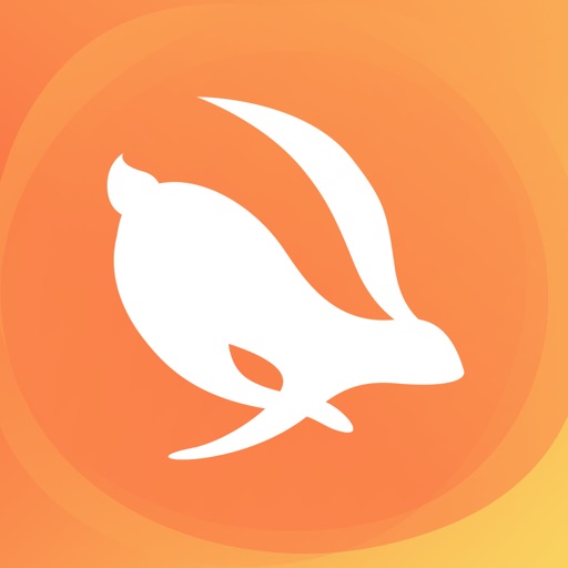 Turbo VPN Private Browser app icon
