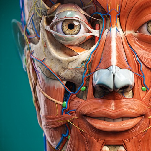 Anatomy Learning - 3D Atlas app icon