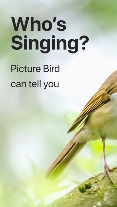 Picture Bird: Bird identifier App Store screenshot 1