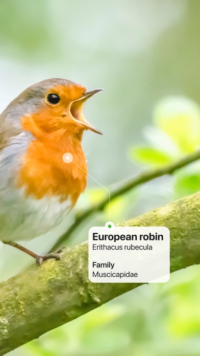 Picture Bird: Bird identifier App Store screenshot 2