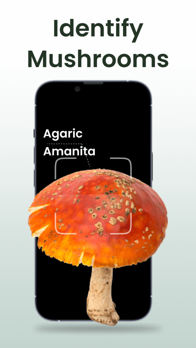 Plant Identifier: Plantiary App Store screenshot 2
