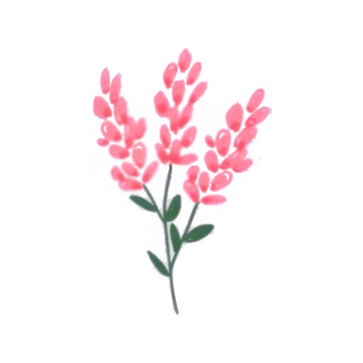 Fleur - Budget Planner App app icon