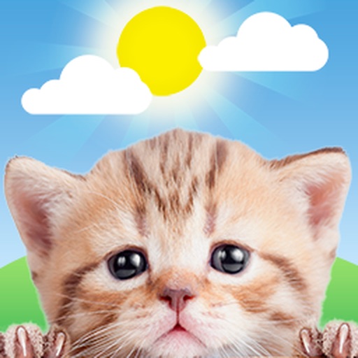 Weather Kitty: Weather + Radar app icon