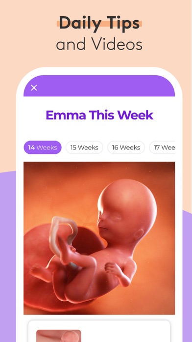 Pregnancy Baby Tracker - WTE App Store screenshot 2