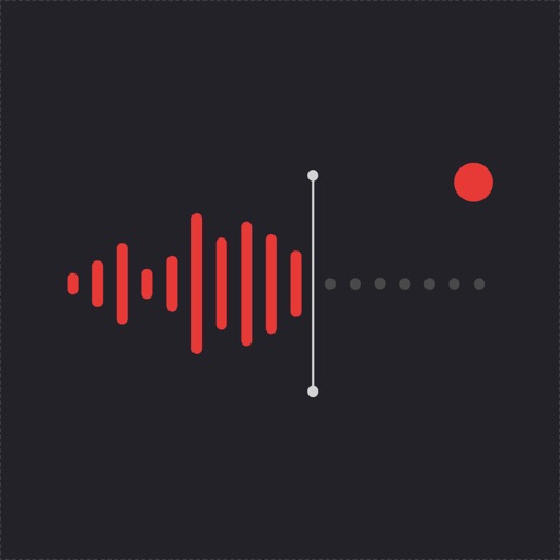 VoiceNotes: Audio Recordings app icon