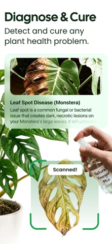 Plant App: Plant Identifier App Store screenshot 2