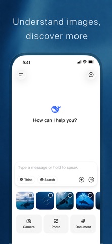 DeepSeek - AI Assistant App Store screenshot 2