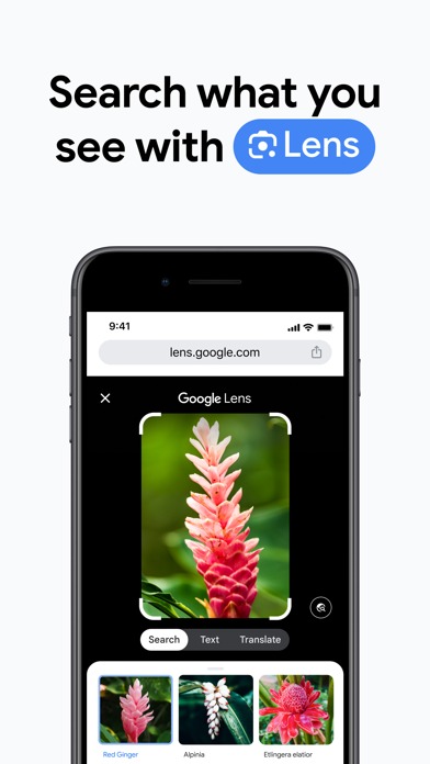 Google Chrome App Store screenshot 2