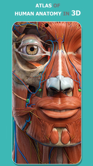 Anatomy Learning - 3D Atlas App Store screenshot 1