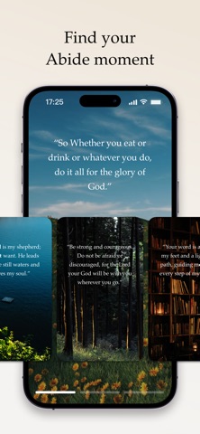 Bible Voice: Audio&Abide App Store screenshot 2