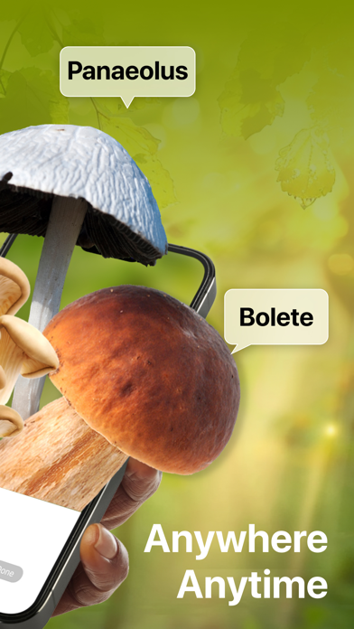 Picture Mushroom: Identifier App Store screenshot 1