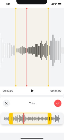 Voice Recorder — Audio Memos App Store screenshot 2
