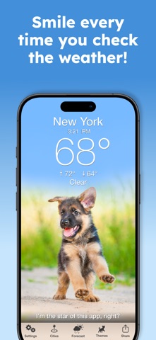 Weather Puppy Forecast + Radar App Store screenshot 1