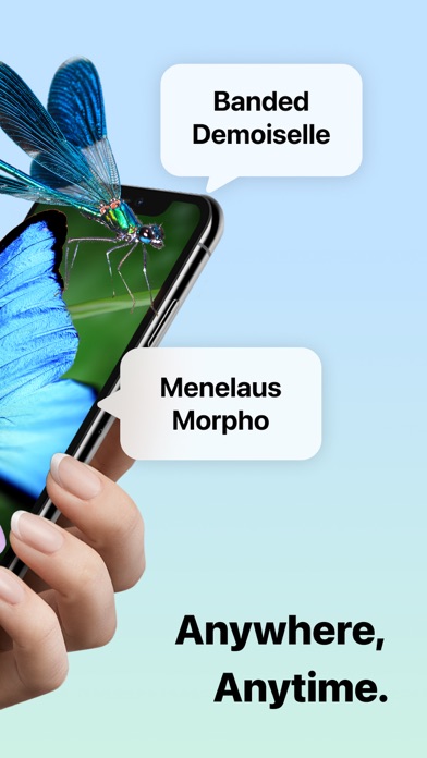 Picture Insect: Bug Identifier App Store screenshot 2
