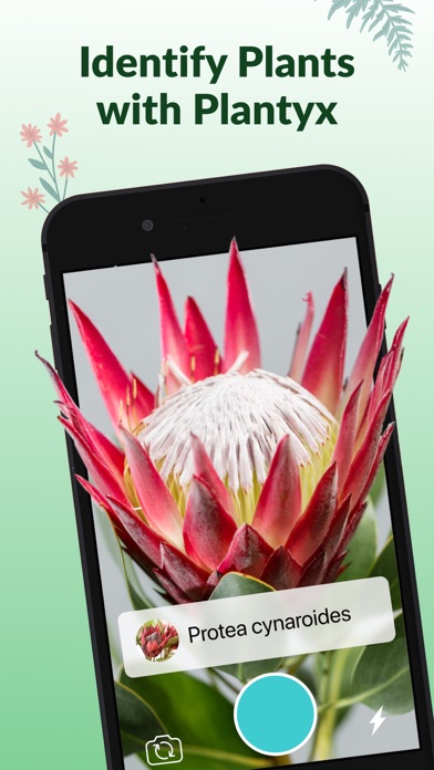 Plant Identification－Plantaria App Store screenshot 1