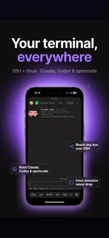 Nodeterm App Store screenshot 1