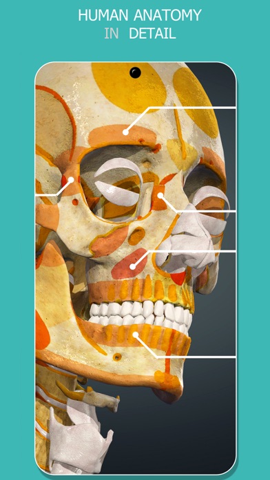Anatomy Learning - 3D Atlas App Store screenshot 2