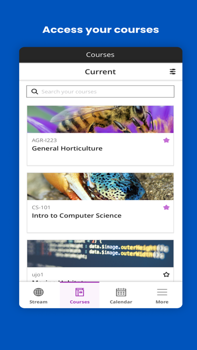 Blackboard App Store screenshot 2