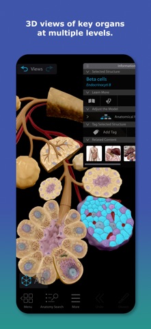 Human Anatomy Atlas 2026 App Store screenshot 2