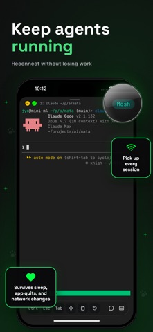 Moshi: herdr/tmux on SSH/MOSH App Store screenshot 1