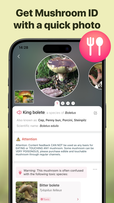 Picture Mushroom: Identifier App Store screenshot 2