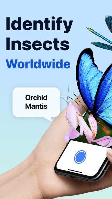 Picture Insect: Bug Identifier App Store screenshot 1