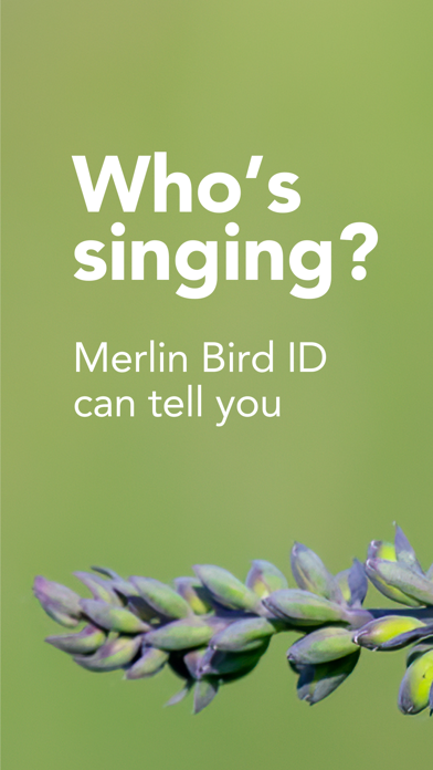 Merlin Bird ID by Cornell Lab App Store screenshot 1