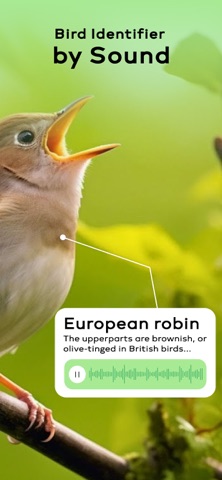 Bird Sounds Identifier Call ID App Store screenshot 2