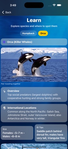 Whale Tracker - Sightings Map App Store screenshot 1