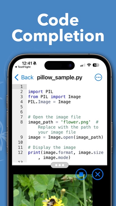 Python Editor App App Store screenshot 2