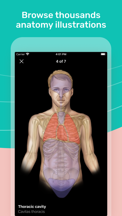 Easy Anatomy 3D with Voice AI App Store screenshot 2