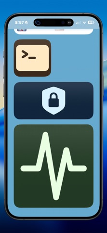 TerminalWidget App Store screenshot 2