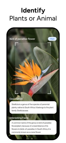 Lens AI & Reverse Image Search App Store screenshot 2